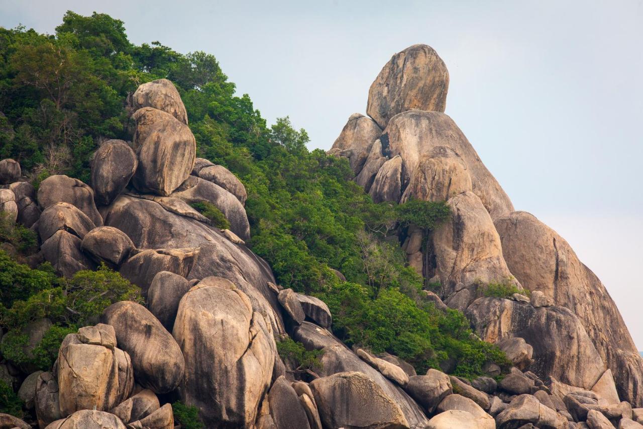 Koh Tao Relax Freedom Beach Resort Екстериор снимка
